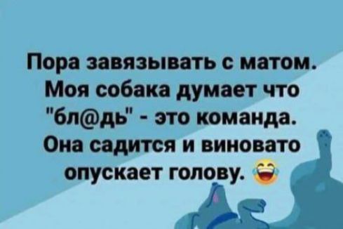 Пора завязывать с матом Моя собака думает что блдь это команда Она садится и виновато опускает голову