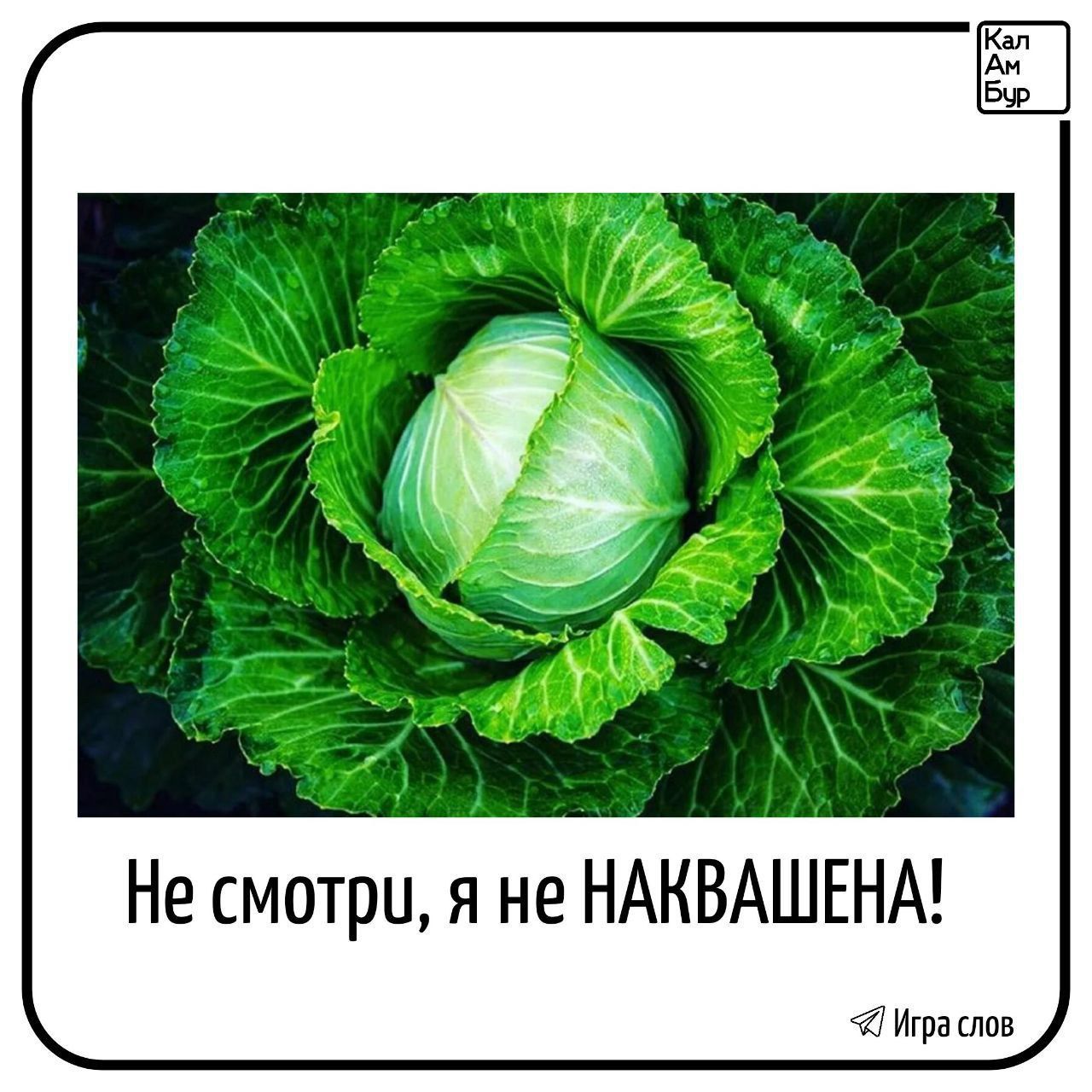 Не смотри я не НАКВАШЕНА Ипраслов