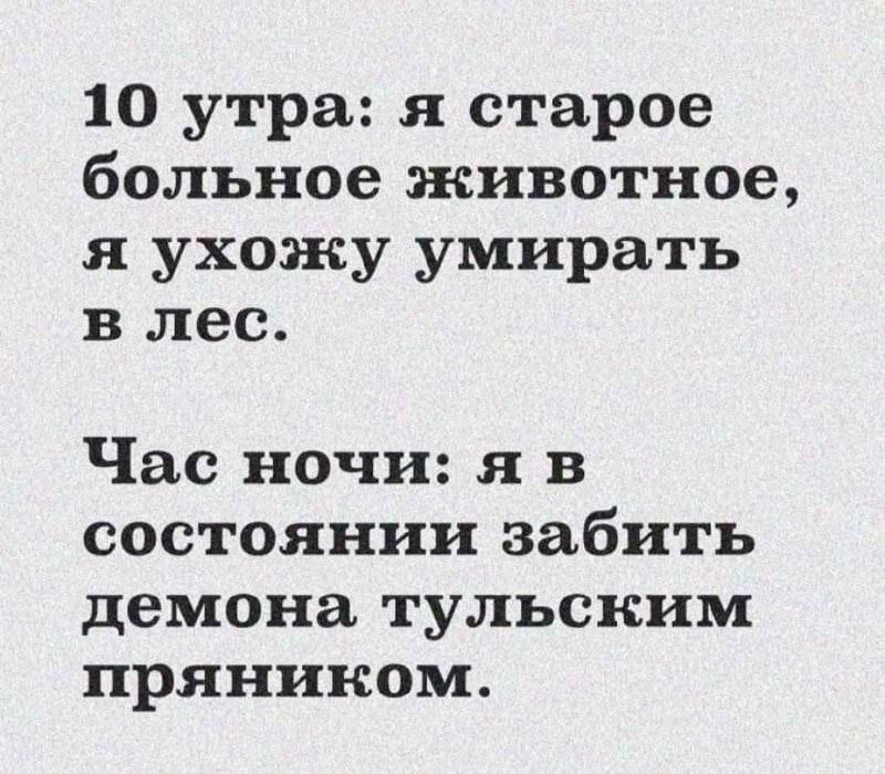 10 утра я старое больное животное я ухожу умирать в лес Час ночи я в состоянии забить демона тульским пряником