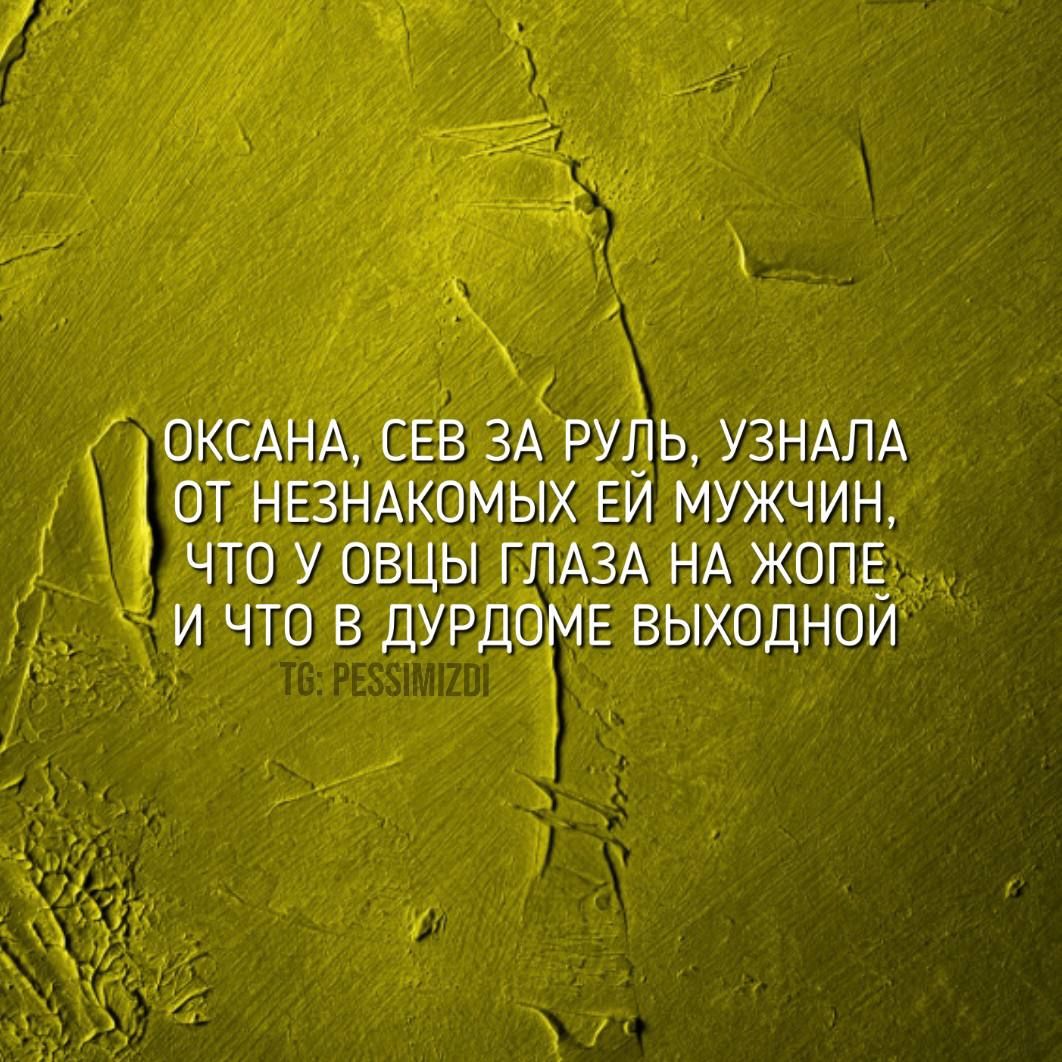 ОКСАНА СЕВ ЗА РУЛЬ УЗНАЛА ОТ НЕЗНАКОМЫХ ЕЙ МУЖЧИН ЧТО У ОВЩЫ ГЛАЗА НА ЖОПЕ И ЧТО В ДУРДОМЕ ВЫХОДНОЙ