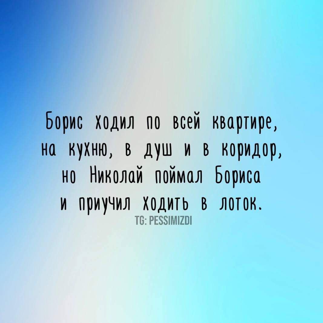 Борис Ходил по всей квартире на кухню в душ и в коридор но Николай поймол Бориса и приучил ХодитЬ В ЛОТОК т РЕС