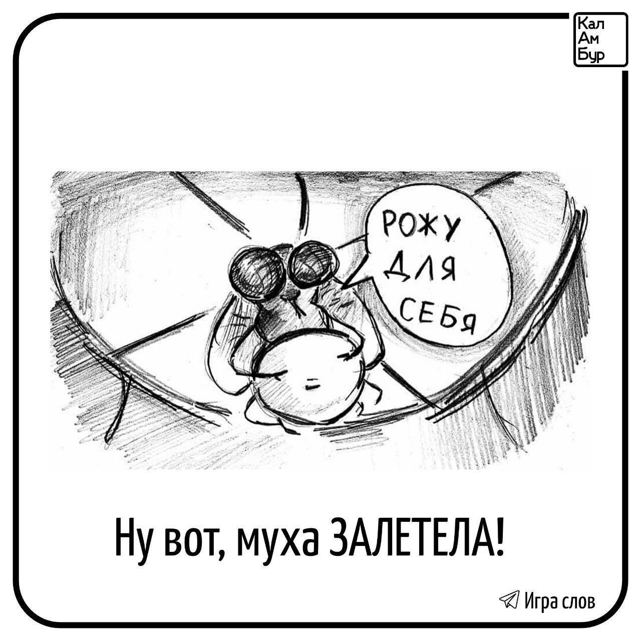 Ну вот муха ЗАЛЕТЕЛА Ипраслов