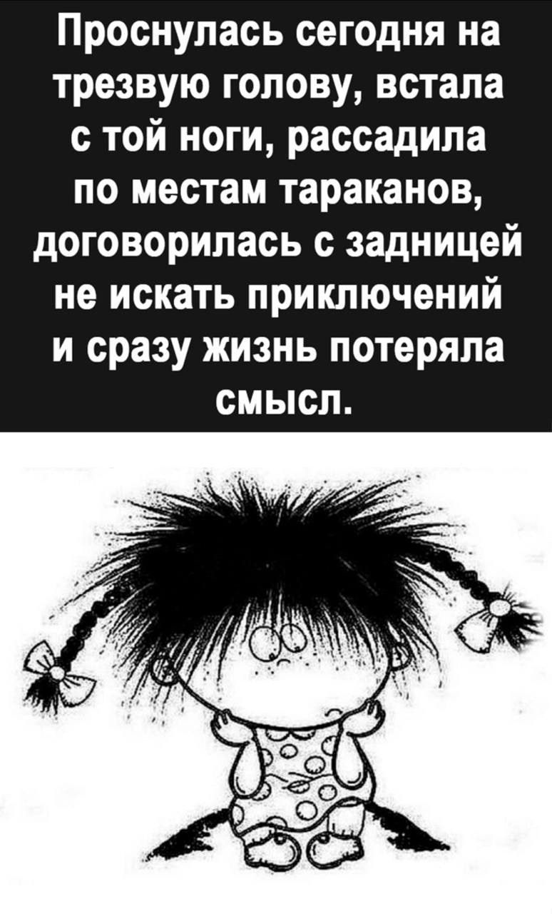 Проснулась сегодня на трезвую голову встала с той ноги рассадила по местам тараканов договорилась с задницей не искать приключений и сразу жизнь потеряла смысл