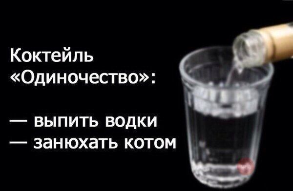 Коктейль Одиночество выпить водКИ занюхать котом