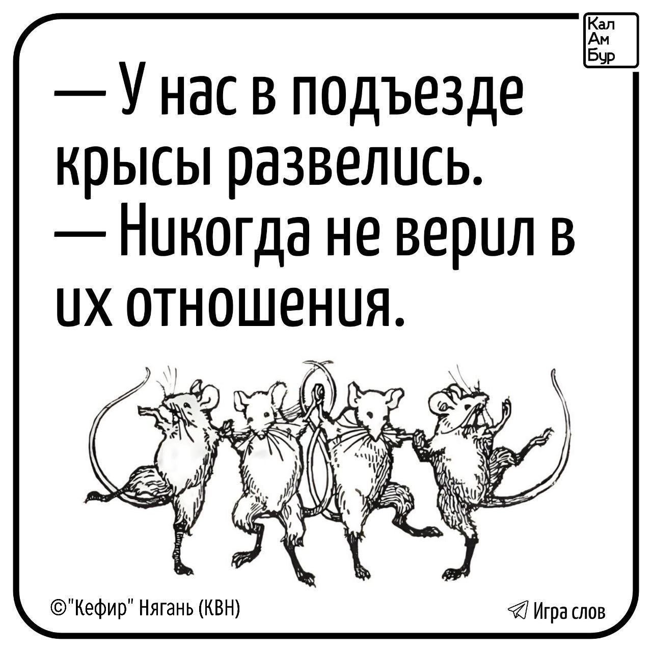 У нас в подъезде крысы развелись Никогда не верил в их отношения Кефир Нягань КВН