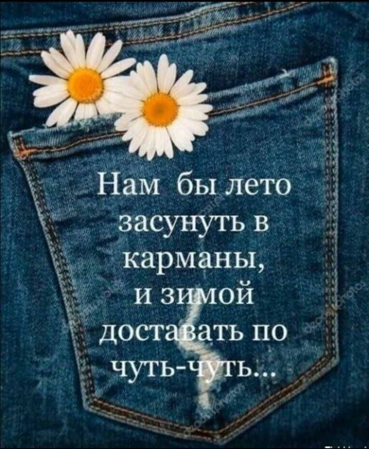 Нам бы лето васунуть в с карманы