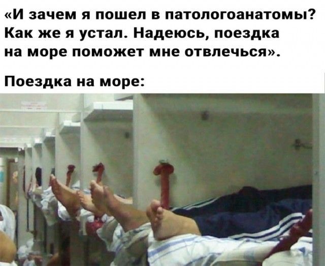 И зачем я пошел в патологоанатомы Как же я устал Надеюсь поездка на море поможет мне отвлечься Поездка на море