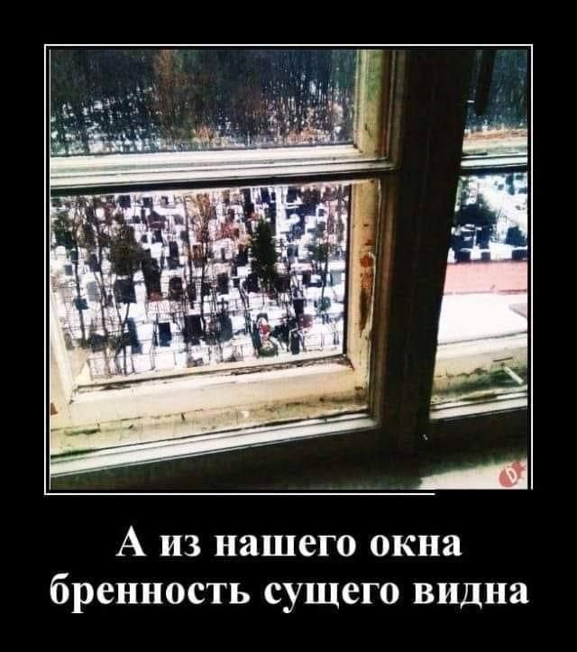 А из нашего окна бренность сущего видна