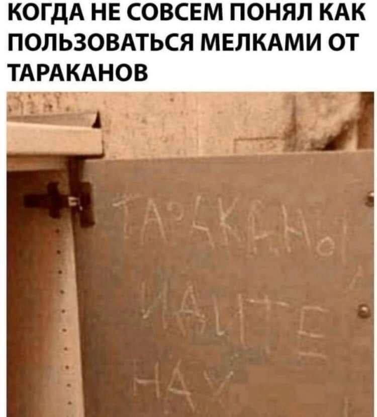 КОГДА НЕ СОВСЕМ ПОНЯЛ КАК ПОЛЬЗОВАТЬСЯ МЕЛКАМИ ОТ ТАРАКАНОВ