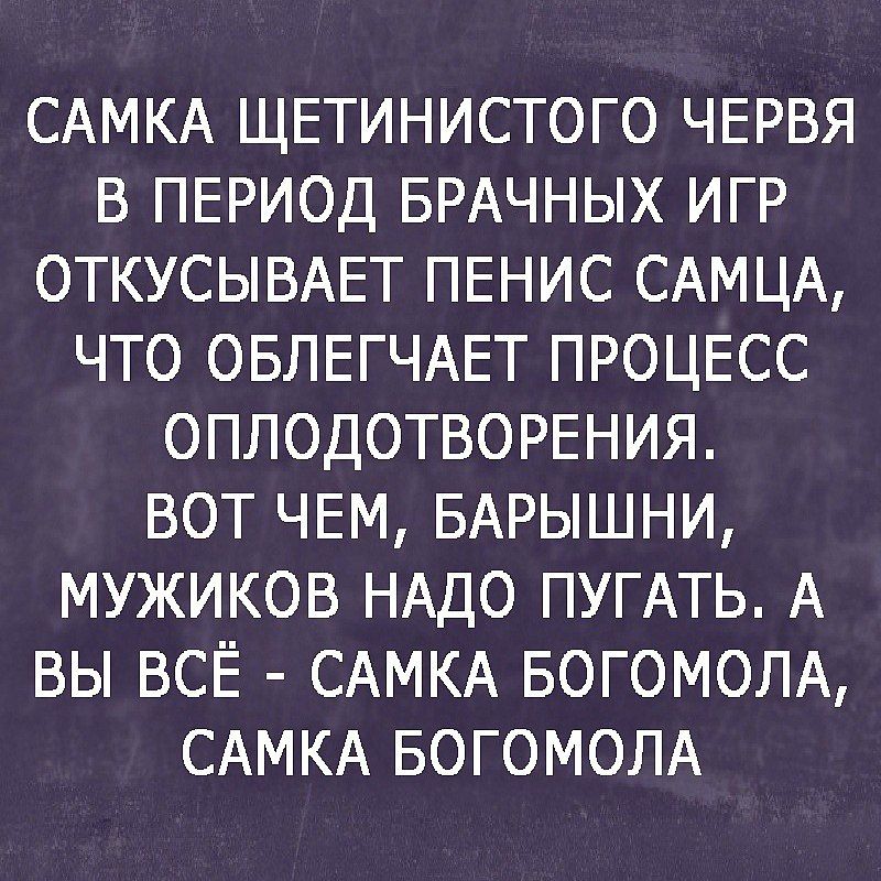 САМКА ЩЕТИНИСТОГО ЧЕРВЯ В ПЕРИОД БРАЧНЫХ ИГР ОТКУСЫВАЕТ ПЕНИС САМЦА ЧТО ОБЛЕГЧАЕТ ПРОЦЕСС ОПЛОДОТВОРЕНИЯ ВОТ ЧЕМ БАРЫШНИ МУЖИКОВ НАДО ПУГАТЬ А ВЫ ВСЁ САМКА БОГОМОЛА САМКА БОГОМОЛА