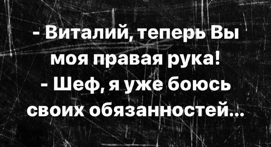 Щ Виталий теперь Вы моя правая рука Шеф я уже боюсь своих обязанностей