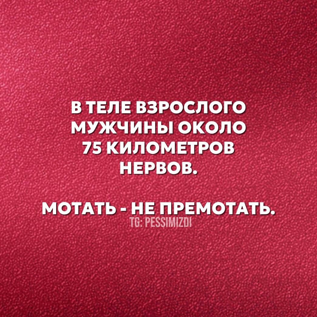 В ТЕЛЕ ВЗРОСЛОГО МУЖЧИНЫ ОКОЛО 75 КИЛОМЕТРОВ НЕРВОВ МОТАТЬ НЕ ПРЕМОТАТЬ ТО РЕС