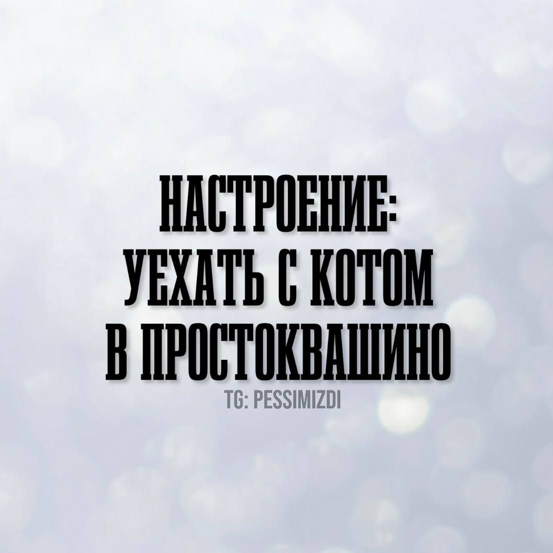 ИАСТРОБНИЕ УБХАТЬ С КОТОМ В ПРОСТОКВАЩИНО