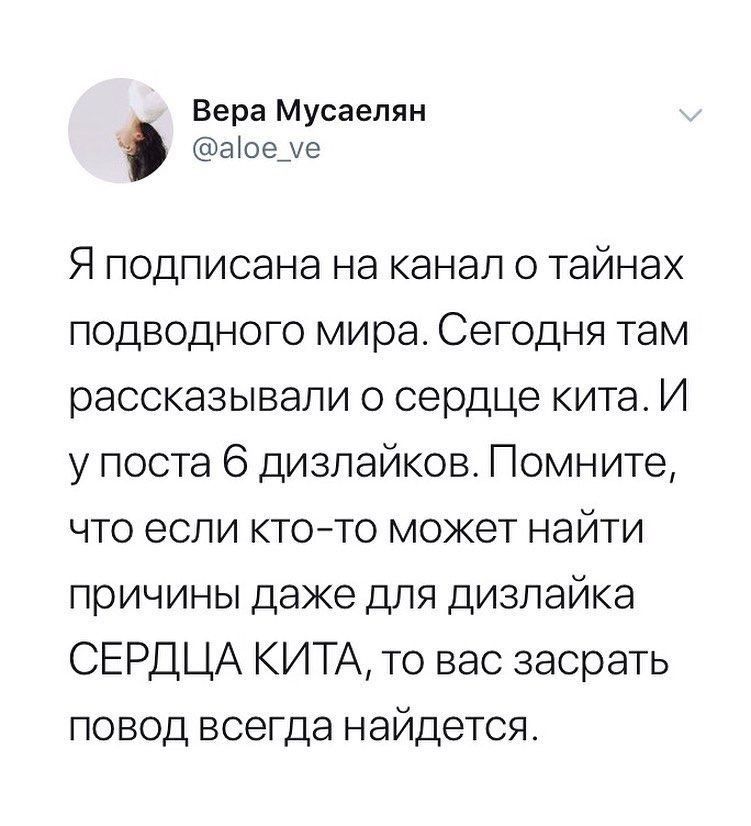 Вера Мусаелян аюе ме Я подписана на канал о тайнах подводного мира Сегодня там рассказывали о сердце кита И у поста 6 дизлайков Помните что если кто то может найти причины даже для дизлайка СЕРДЦА КИТА то вас засрать повод всегда найдется