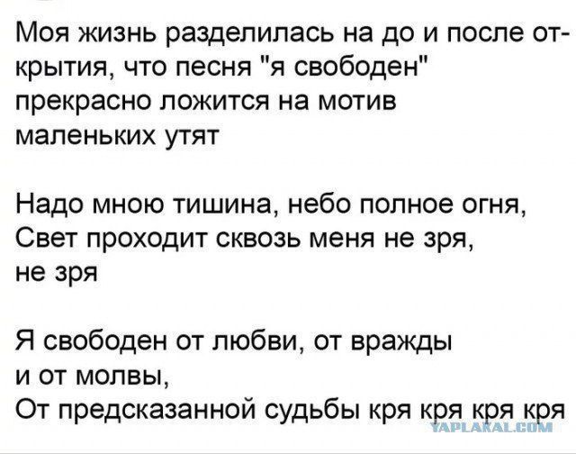 Моя жизнь разделилась на до и после от крытия что песня я свободен прекрасно ложится на мотив маленьких утят Надо мною тишина небо полное огня Свет проходит сквозь меня не зря не зря Я свободен от любви от вражды и от молвы От предсказанной судьбы кря кря кря кря