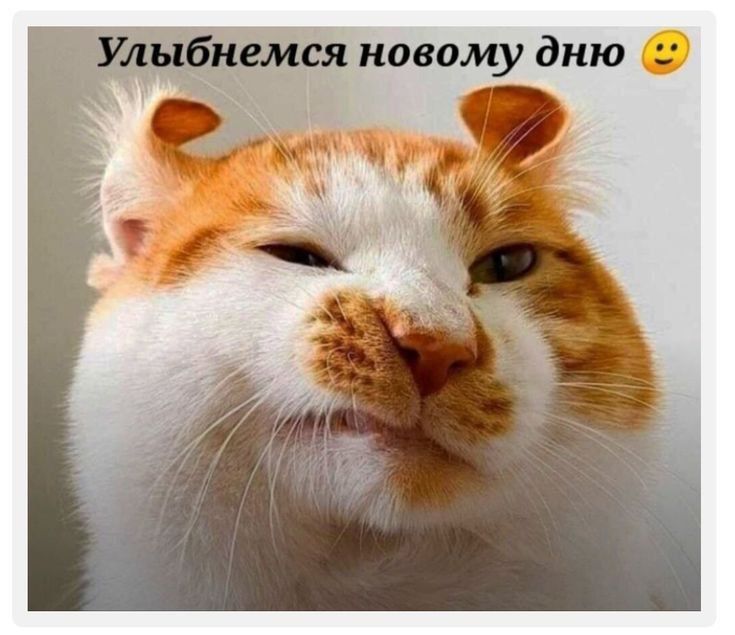 новому дню