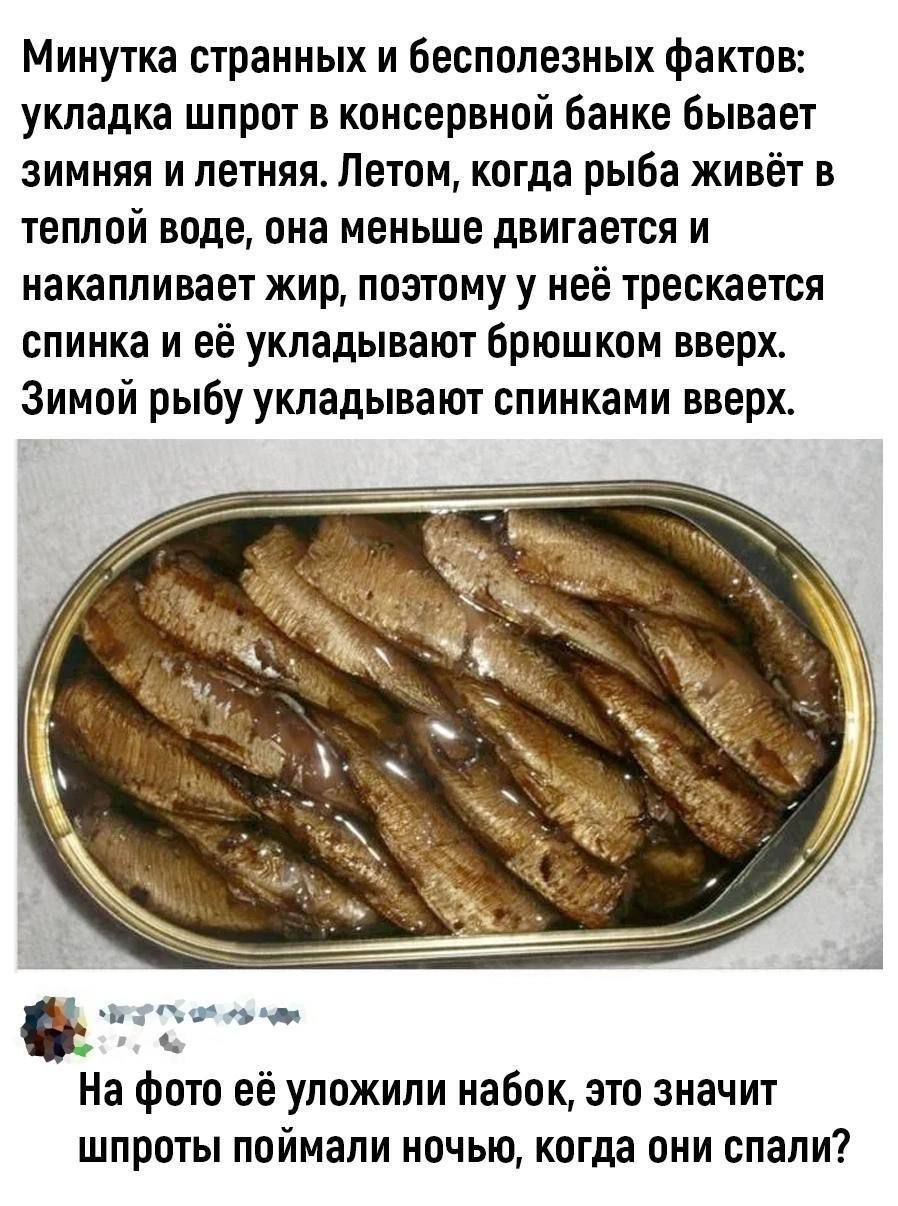 Минутка странных и бесполезных фактов укладка шпрот в консервной банке бывает зимняя и летняя Летом когда рыба живёт в теплой воде она меньше двигается и накапливает жир поэтому у неё трескается спинка и её укладывают брюшком вверх Зимой рыбу укладывают спинками вверх На фото её уложили набок это значит шпроты поймали ночью когда они спали