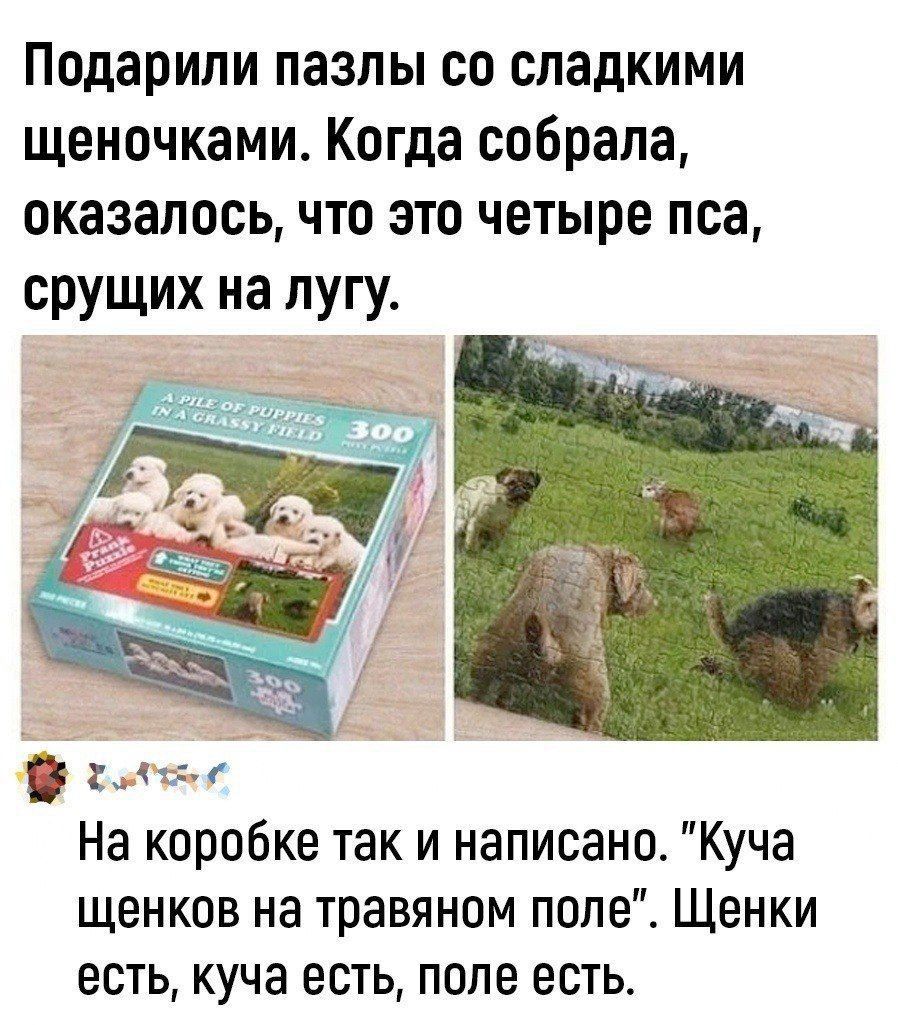 Подарили пазлы со сладкими щеночками Когда собрала оказалось что это четыре пса срущих на лугу На коробке так и написано Куча щенков на травяном поле Щенки есть куча есть поле есть