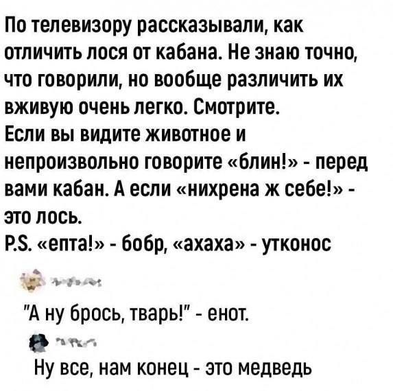 По телевизору рассказывали как отличить лося от кабана Не знаю точно что говорили но вообще различить их вживую очень легко Смотрите Если вы видите животное и непроизвольно говорите блин перед вами кабан А если нихрена ж себе это лось Р5 епта бобр ахаха утконос А ну брось твары енот л Ну все нам конец это медведь