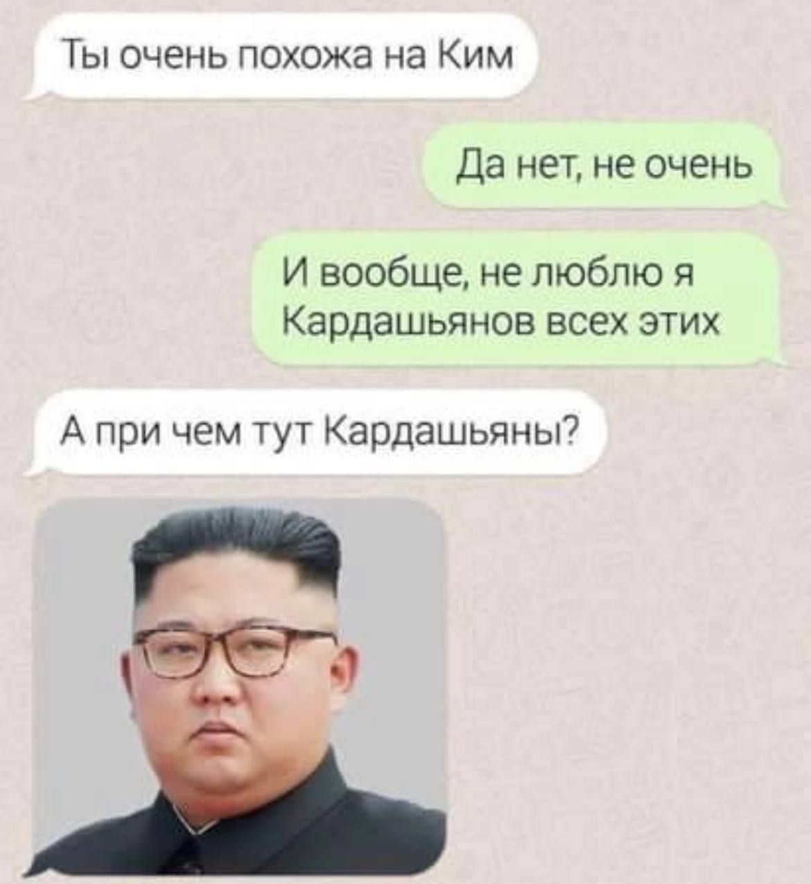 Ты очень похожа на Ким Да нет не очень И вообще не люблю я Кардашьянов всех этих А при чем тут Кардашьяны ы