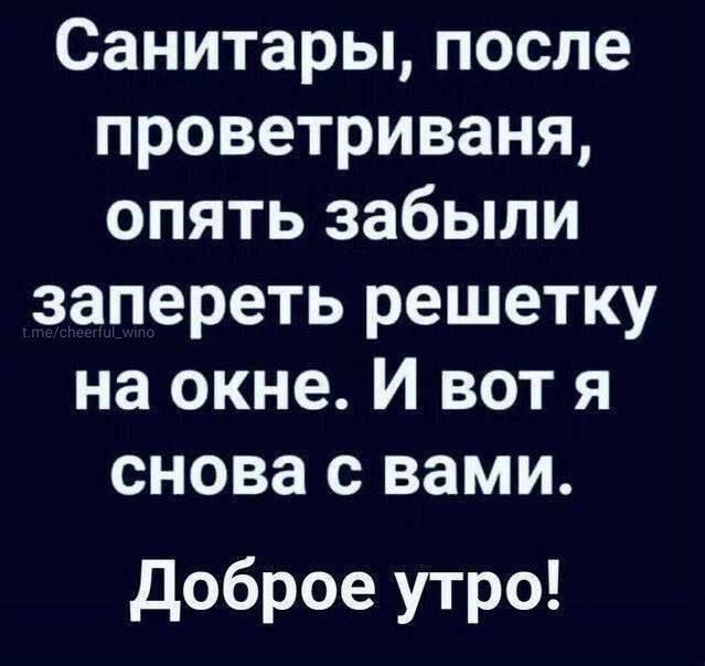 Санитары после проветриваня опять забыли запереть решетку на окне И вот я снова с вами Доброе утро