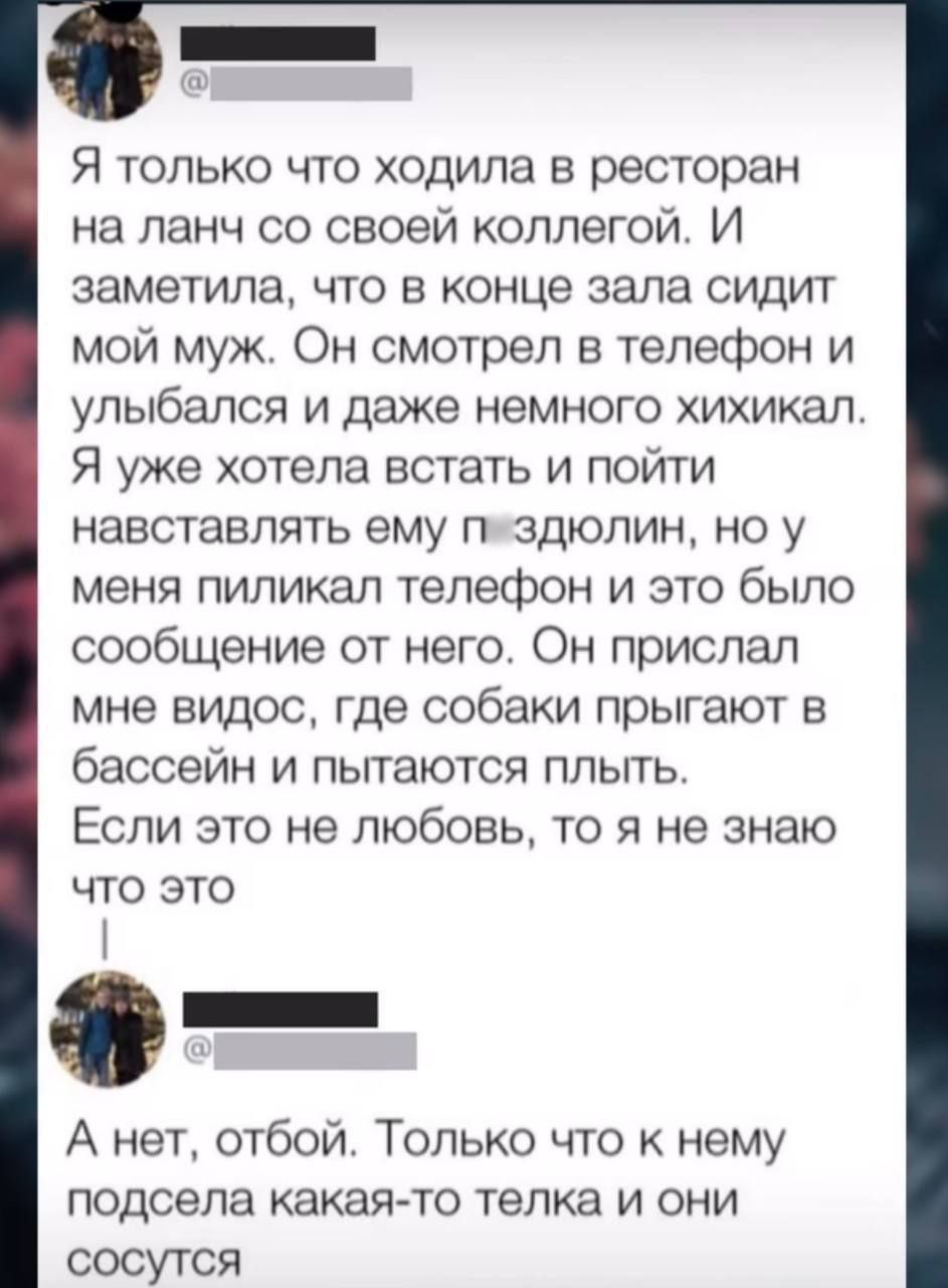 Я только что ходила в ресторан на ланч со своей коллегой И заметила что в конце зала сидит мой муж Он смотрел в телефон и улыбался и даже немного хихикал Я уже хотела встать и пойти навставлять ему пяздюлин но у меня пиликал телефон и это было сообщение от него Он прислал мне видос где собаки прыгают в бассейн и пытаются плыть Если это не любовь то