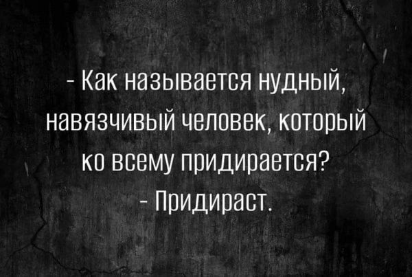 Как называется нудный навязчивый человек который ко всему придирается Придираст