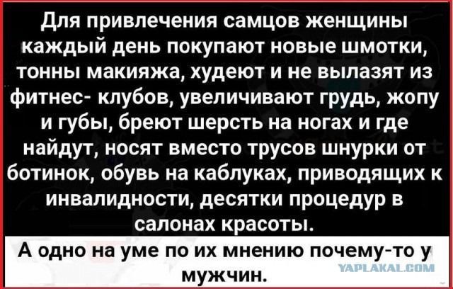 Для привлечения самцов женщины каждый день покупают новые шмотки тонны макияжа худеют и не вылазят из фитнес клубов увеличивают грудь жопу и губы бреют шерсть на ногах и где найдут носят вместо трусов шнурки от ботинок обувь на каблуках приводящих к инвалидности десятки процедур в салонах красот А одно на уме по их мнению почем мужчин