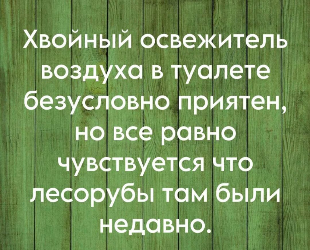 Хвойный освежитель воздуха в туалете безусловно приятен но все равно чувствуется что лесорубы там были недавно