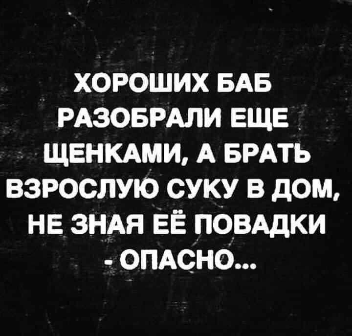 ХОРОШИХ БАБ РАЗОБРАЛИ ЕЩЕ ЩЕНКАМИ А БРАТЬ ВЗРОСЛУЮ СУКУ В ДОМ НЕ ЗНАЯ ЕЁ ПОВАДКИ ОПАСНО