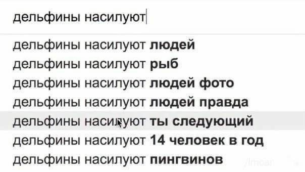 дельфины насилуют дельфины насилуют людей дельфины насилуют рыб дельфины насилуют людей фото дельфины насилуют людей правда дельфины насидуют ты следующий дельфины насилуют 14 человек в год дельфины насилуют пингвинов