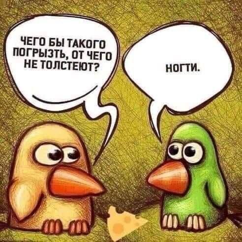 Чего бы такого погрызть, от чего не толстеют? Ноги.