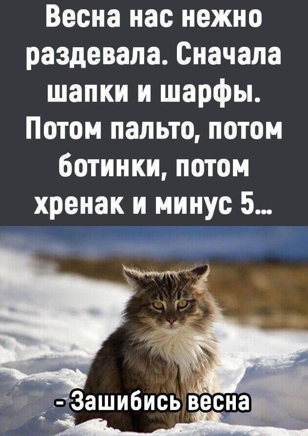 Весна нас нежно раздевает. Сначала шапки и шарфы. Потом пальто, потом ботинки, потом хренак и минус 5… 
- Зашибись весна