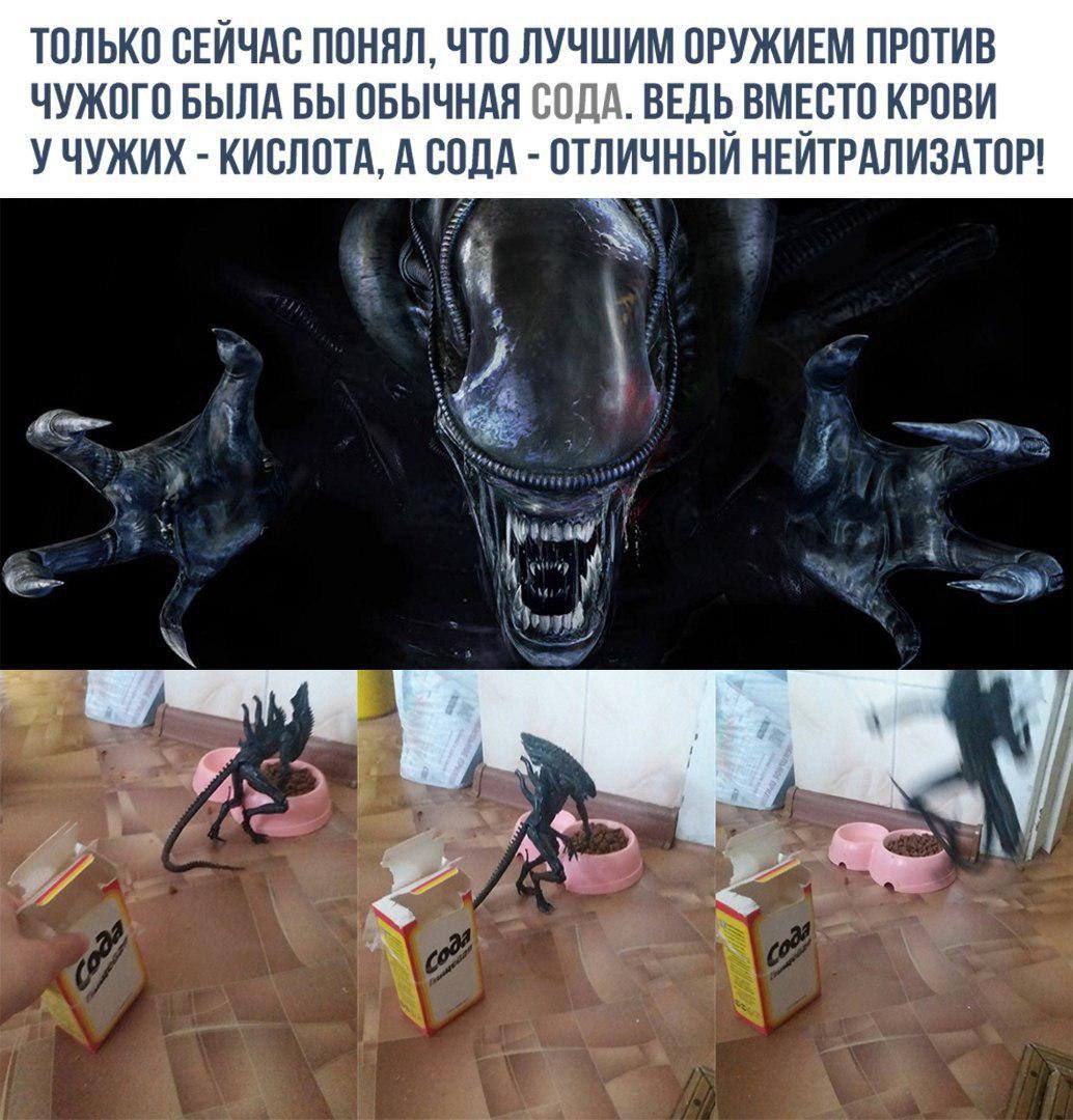 ТОЛЬКО СЕЙЧАС ПОНЯЛ, ЧТО ЛУЧШИМ ОРУЖИЕМ ПРОТИВ ЧУЖОГО БЫЛА БЫ ОБЫЧНАЯ СОДА. ВЕДЬ ВМЕСТО КРОВИ У ЧУЖИХ - КИСЛОТА, А СОДА - ОТЛИЧНЫЙ НЕЙТРАЛИЗАТОР!