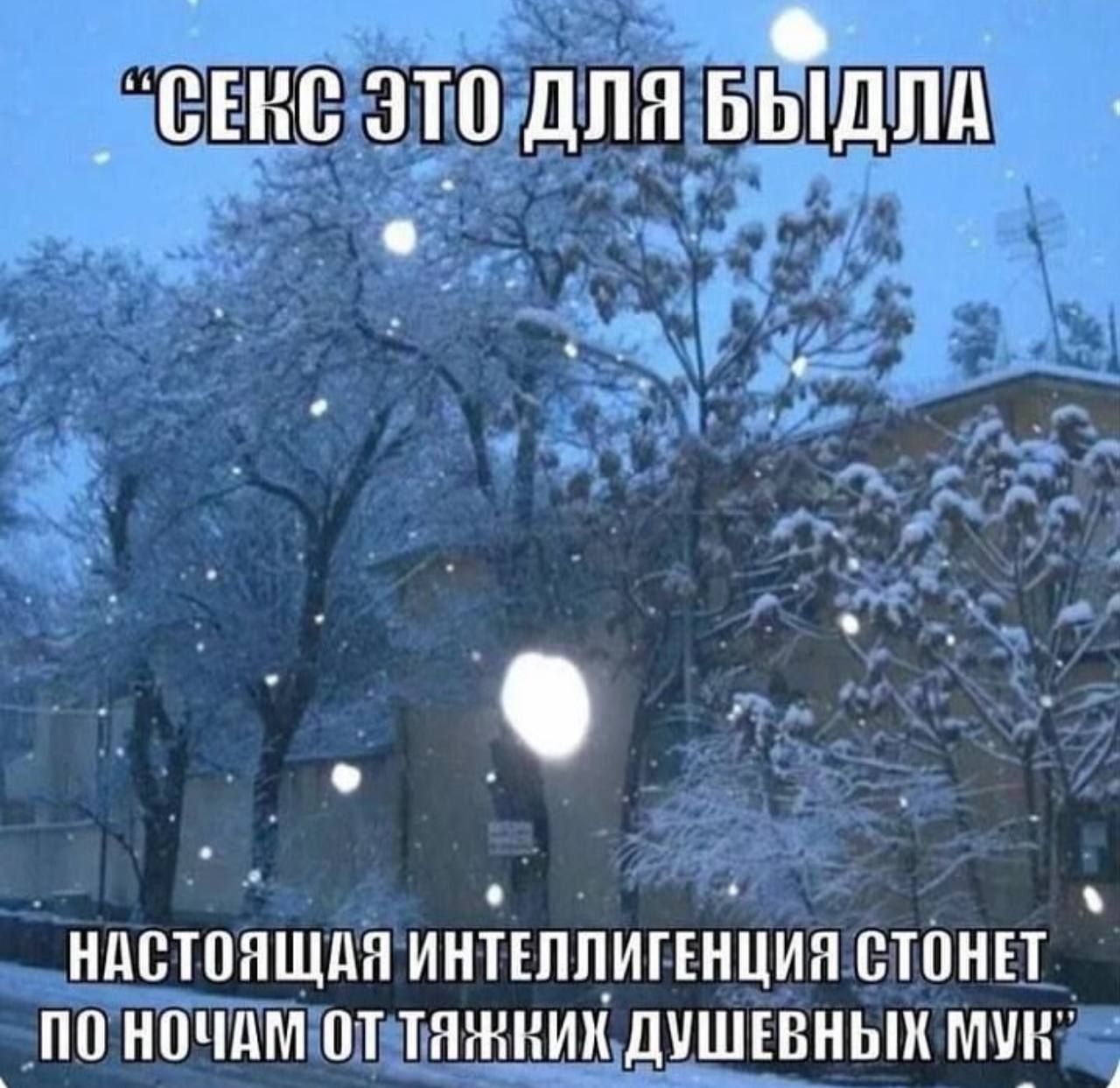 СЕКС ЭТО ДЛЯ БЫДЛА
НАСТОЯЩАЯ ИНТЕЛЛИГЕНЦИЯ СТОНЕТ ПО НОЧАМ ОТ ТЯЖКИХ ДУШЕВНЫХ МУК