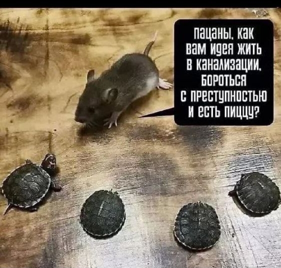пацаны, как вам идея жить в канализации, бороться с преступностью и есть пищу?