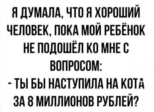 Я ДУМАЛА, ЧТО Я ХОРОШИЙ ЧЕЛОВЕК, ПОКА МОЙ РЕБЁНОК НЕ ПОДОШЁЛ КО МНЕ С ВОПРОСОМ:
- ТЫ БЫ НАСТУПИЛА НА КОТА ЗА 8 МИЛЛИОНОВ РУБЛЕЙ?
