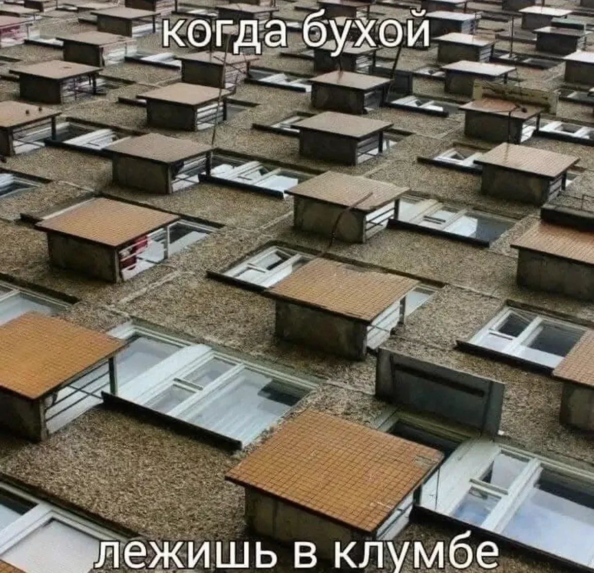 когда бухой
лежишь в клумбе