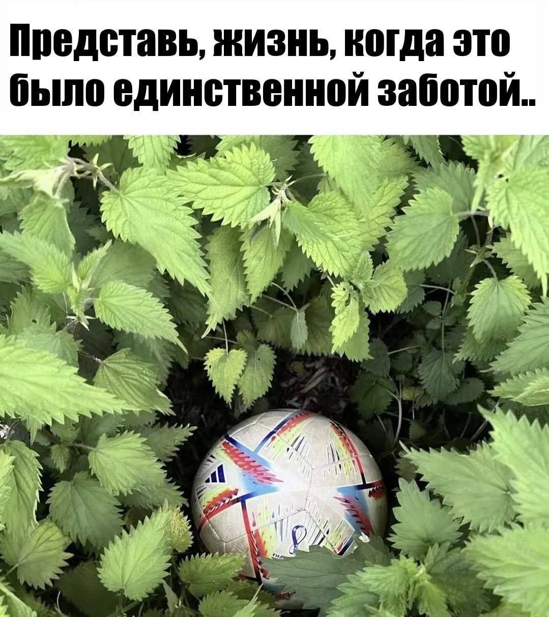 Представь, жизнь, когда это было единственной заботой..