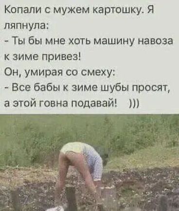 Копали с мужем картошку. Я ляпнула: - Ты бы мне хоть машину навоза к зиме привёз! Он, умирая со смеху: - Все баби к зиме шубы просят, а этой говна подавай! )))
