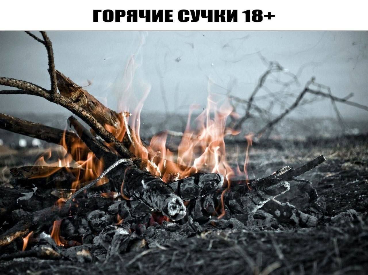 ГОРЯЧИЕ СУЧКИ 18+