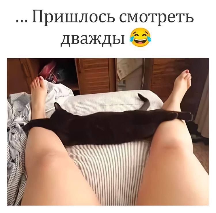 ... Пришлось смотреть дважды 😂