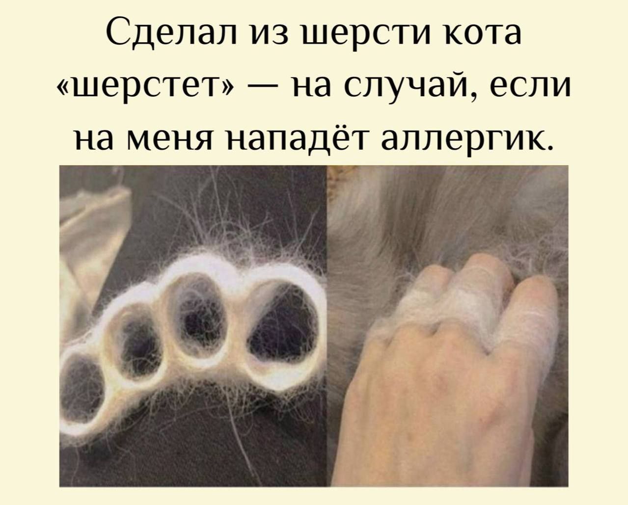 Сделал из шерсти кота «шерстет» — на случай, если на меня нападёт аллергик.
