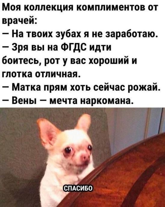 Моя коллекция комплиментов от врачей: - На твоих зубах я не заработаю. - Зря вы на ФГДС идите, боитесь, рот у вас хороший и глотка отличная. - Матка прям хоть сейчас рожай. - Вены — мечта наркомана. СПАСИБО