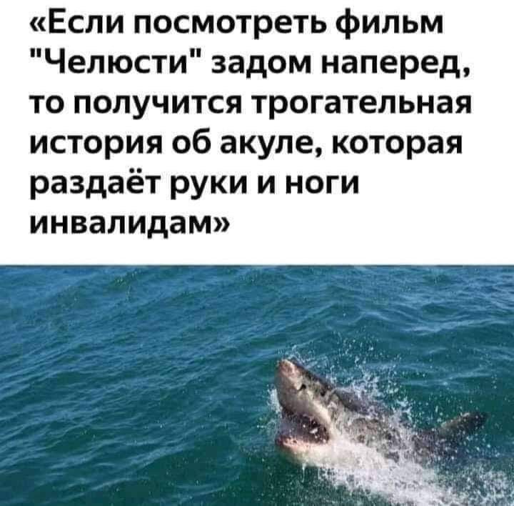 «Если посмотреть фильм 'Челюсти' задом наперед, то получится трогательная история об акуле, которая раздает руки и ноги инвалидам»