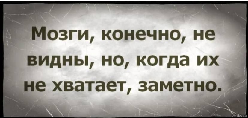 Мозги, конечно, не видны, но, когда их не хватает, заметно.