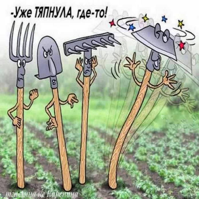 Уже ТЯПНУЛА, где-то!