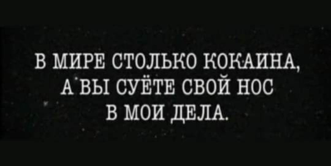 В мире столько кокаина, а вы суёте свой нос в мои дела.