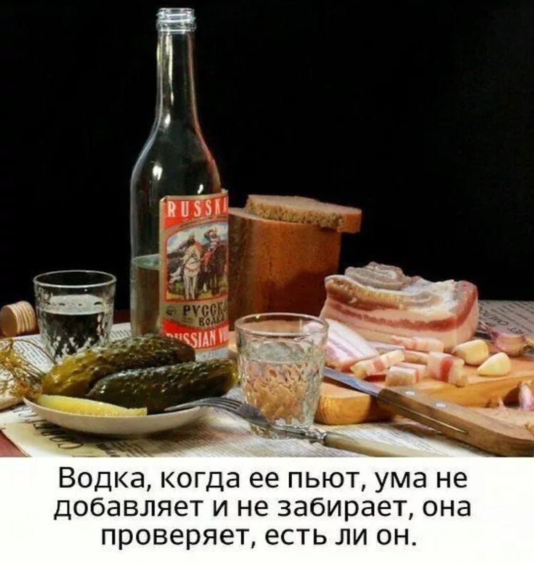 Водка, когда её пьют, ума не добавляет и не забирает, она проверяет, есть ли он.