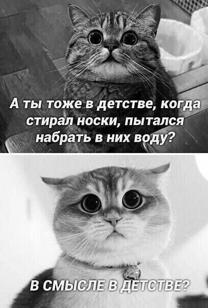 А ты тоже в детстве, когда стирал носки, пытался набрать в них воду? В смысле в детстве?